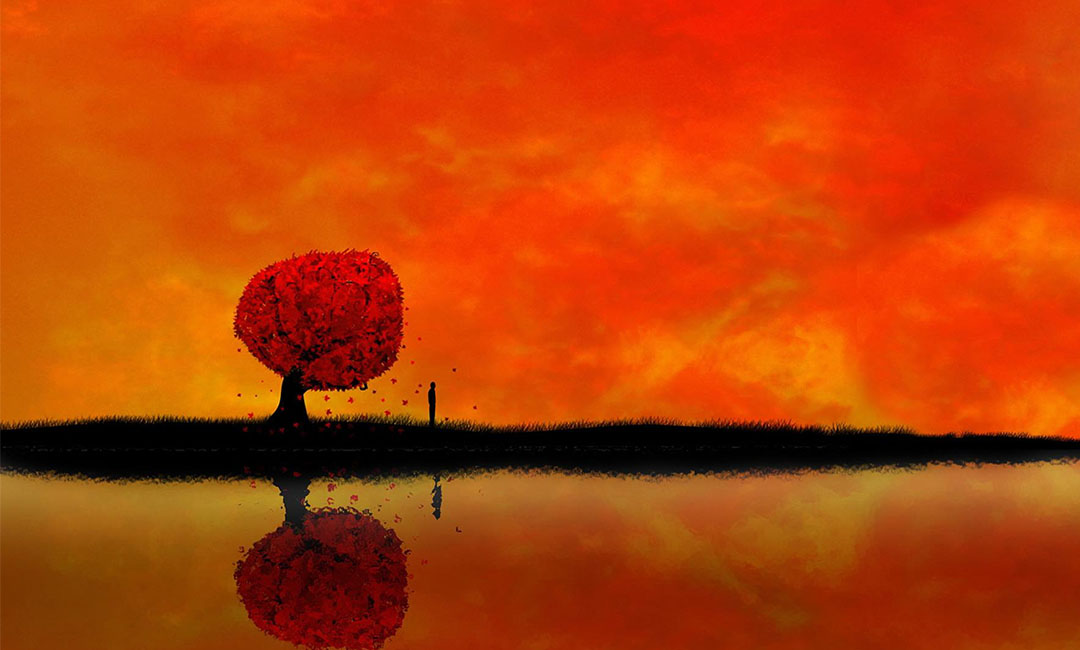 奉贤笙影微信朋友圈转发案例