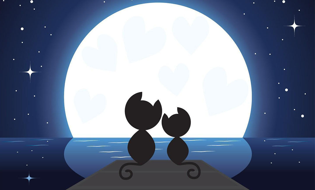 奉贤潮客汇微信活动策划案例